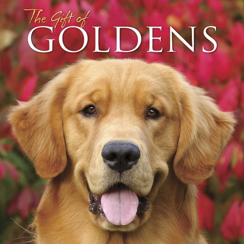 The gift goldens hardcover - the,